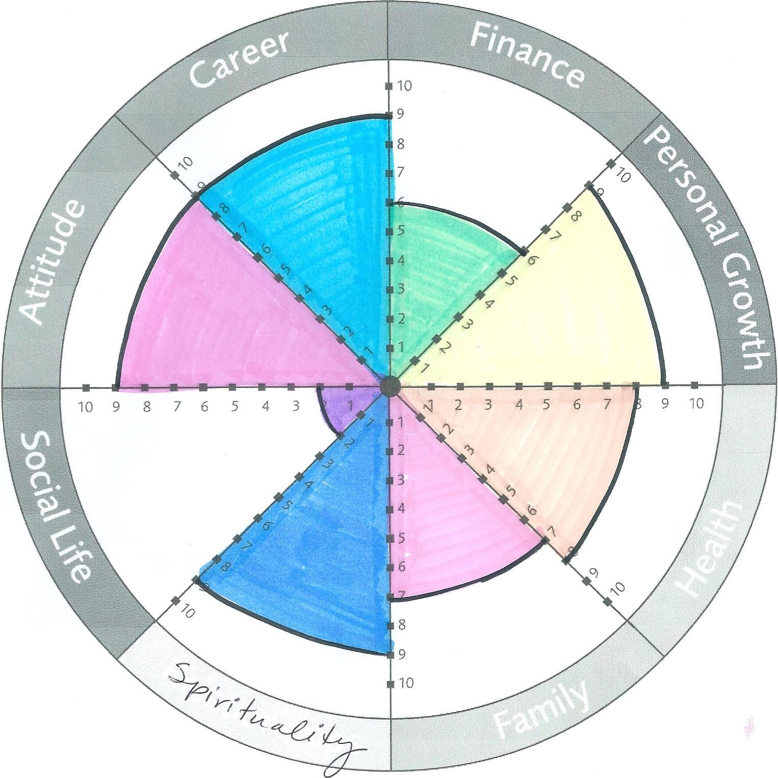 What Does Your Wheel of Life Look Life?